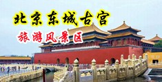 日日拍天天碰夜夜要中国北京-东城古宫旅游风景区